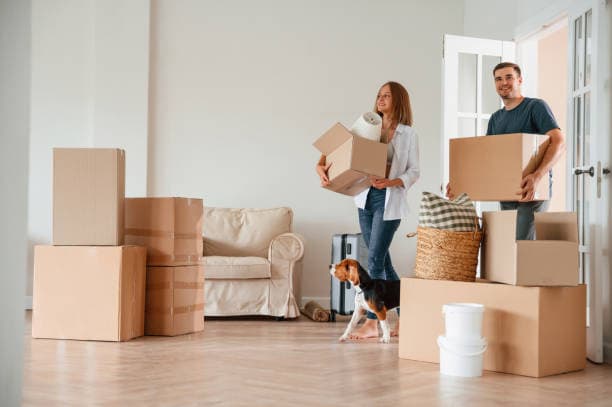 Home removals