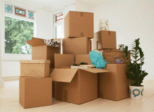 Other removals